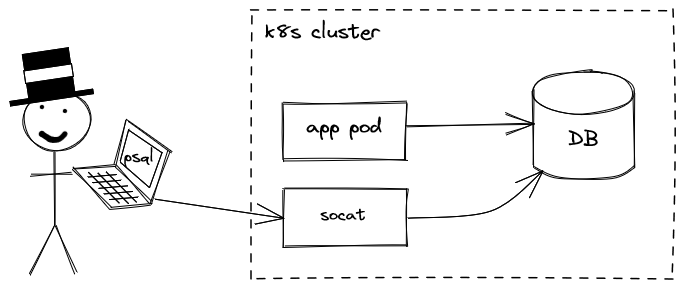 Image of me accessing my app's database via socat